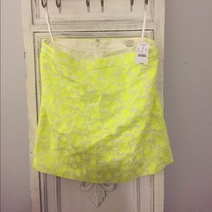 NWT J. Crew Skirt