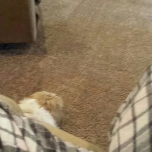 Meet your Posher, Tanya