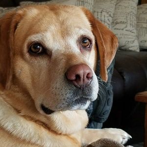 Meet your Posher, Paula