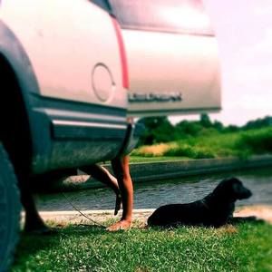 Meet your Posher, Shelly