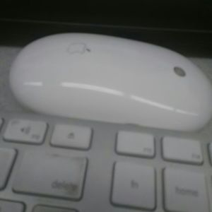 Meet your Posher, Ricky