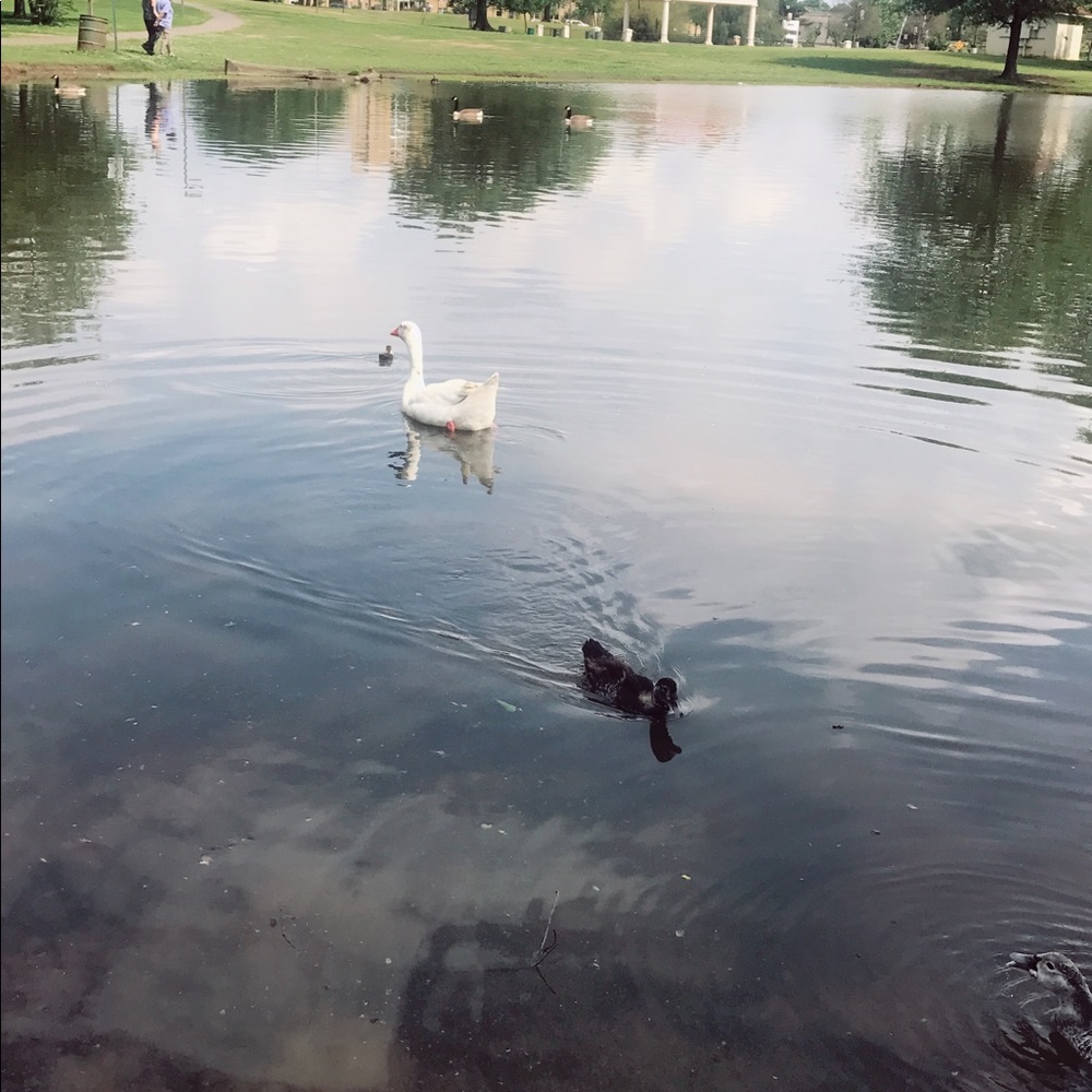 Meet your Posher, Yas