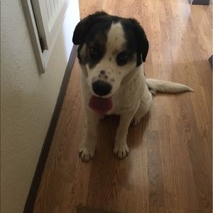 Meet your Posher, Leanne