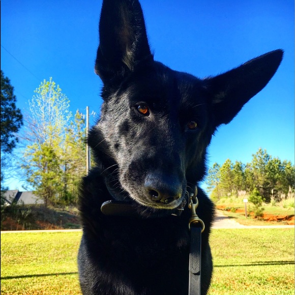 Meet your Posher, Heather - Picture 4 of 4