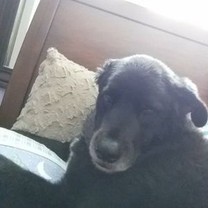 Meet your Posher, Delaney