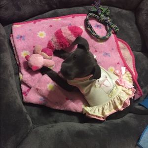 Meet your Posher, Christina