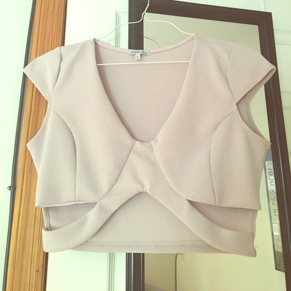Soft Pink Pretty Crop Top