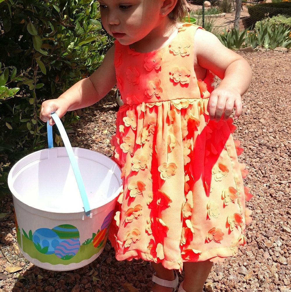 🎆SOLD🎆 Cat & Jack A-line Dress