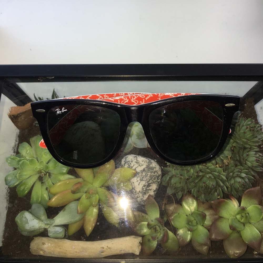 RARE Ray ban Sunglasses with Red Interior
