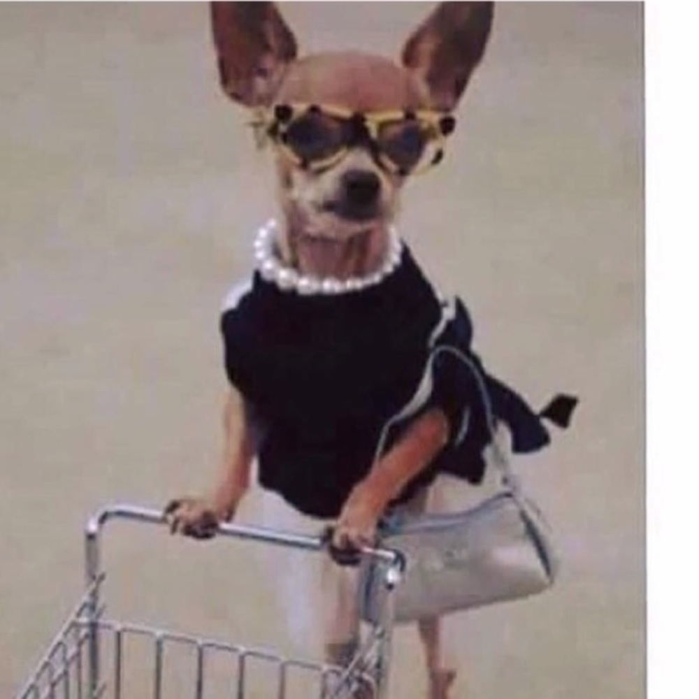 Meet your Posher, Allison