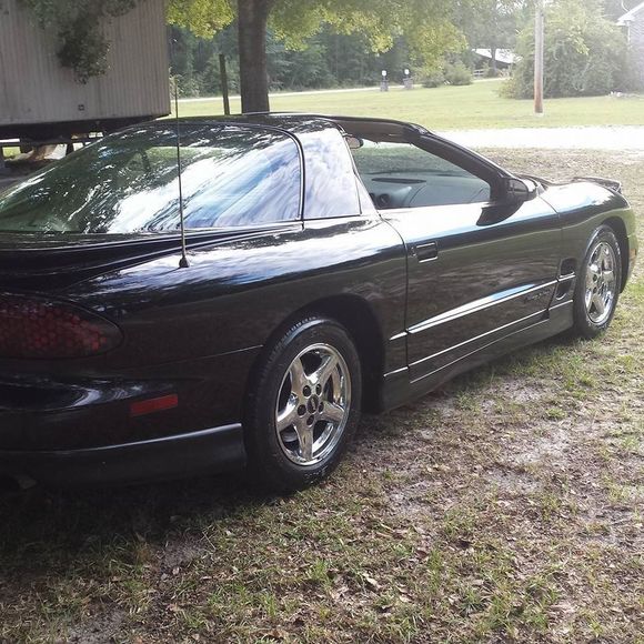 Meet your Posher, Melvin - Picture 1 of 1