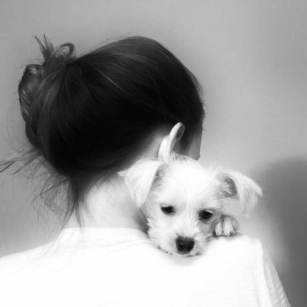 Meet your Posher, Caroline