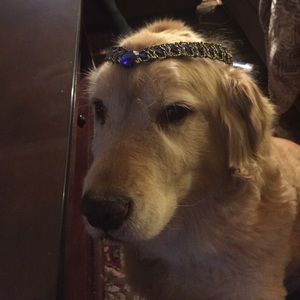Meet your Posher, Sydney