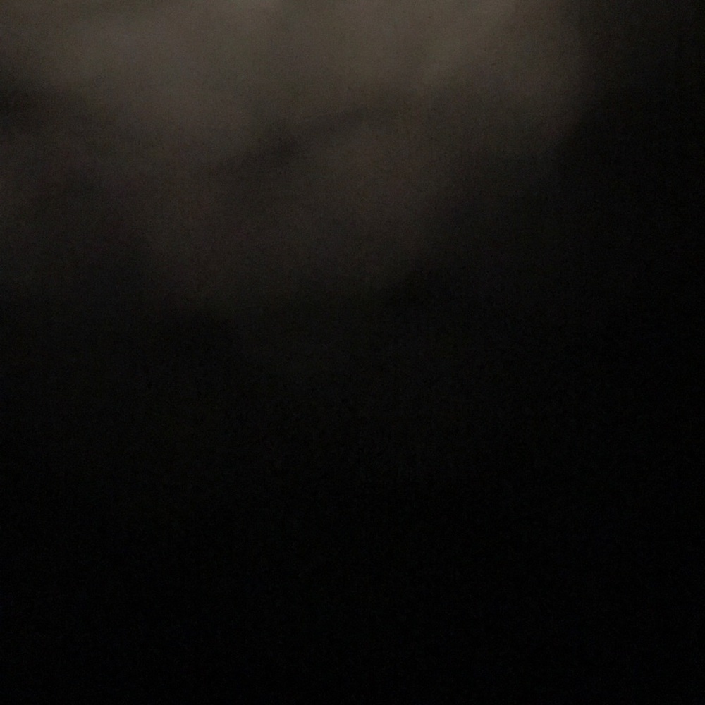 Meet your Posher, Alondra