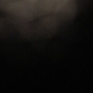 Meet your Posher, Alondra