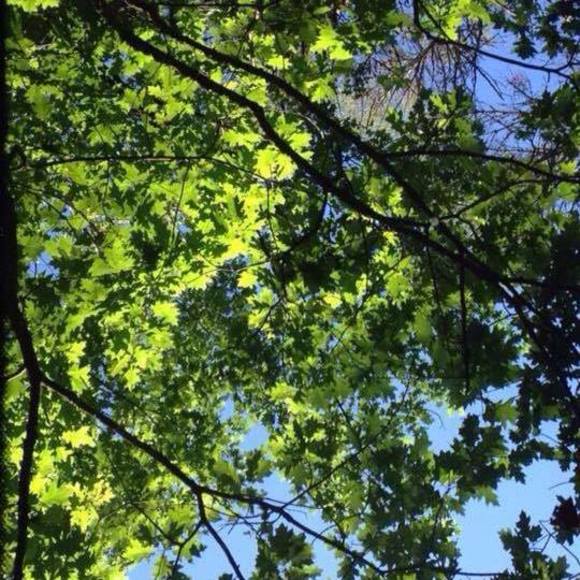 Meet your Posher, Brianna - Picture 1 of 1