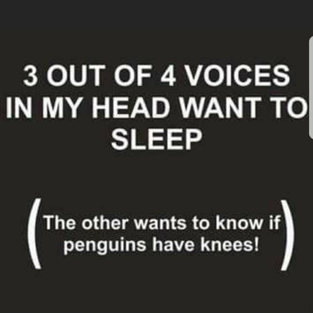 Well do they ??