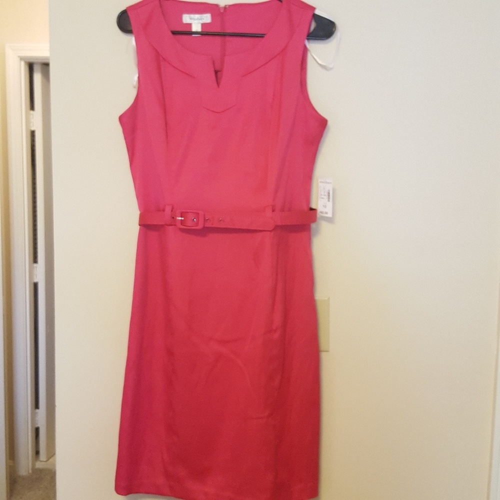 Pink Dress Barn dress