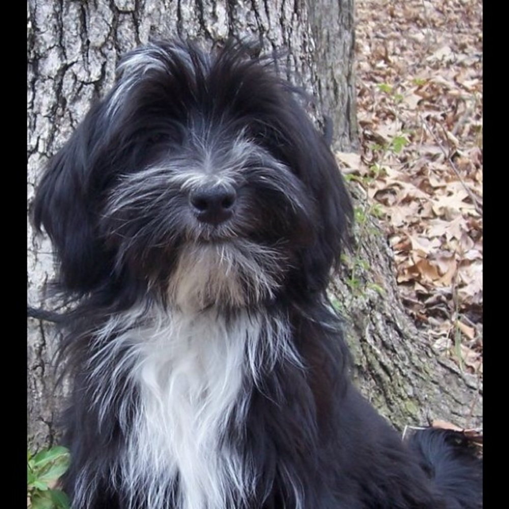 Meet your Posher, Rebekah