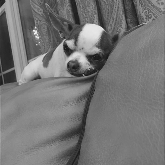 Meet your Posher, Kim - Picture 3 of 6