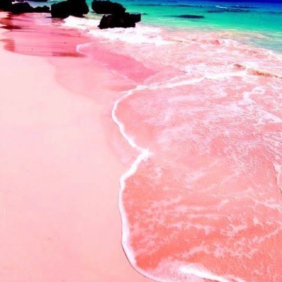 Meet your Posher, Kim - Picture 4 of 6