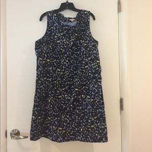 Gap Shift Dress