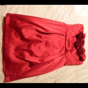 Pink Rose Mini Dress