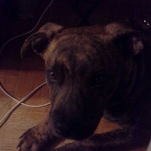 Meet your Posher, Carly