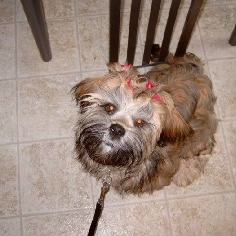 Meet your Posher, Bill