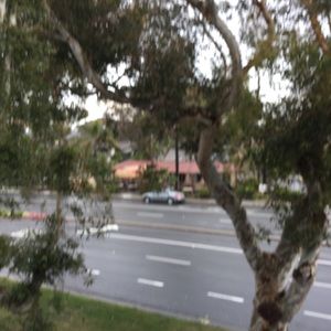 Meet your Posher, Trinity