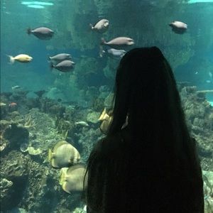 Meet your Posher, Ann