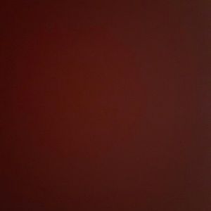 Meet your Posher, Bobby