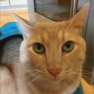 Meet your Posher, Lori