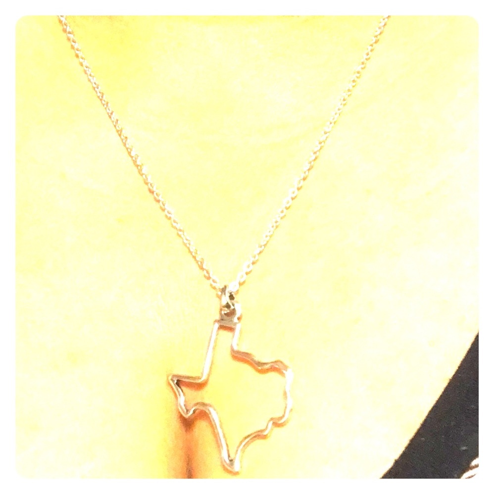 Stainless steel Texas pendant necklace