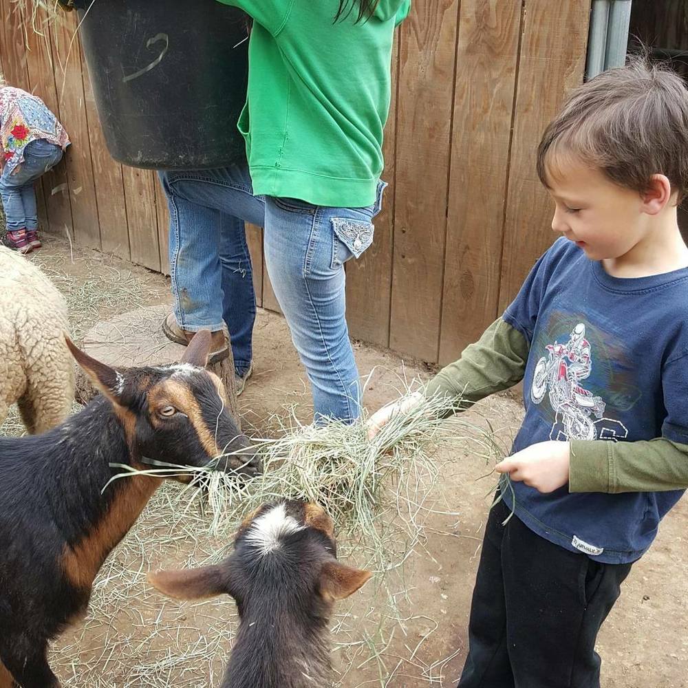 Meet your Posher, Samantha