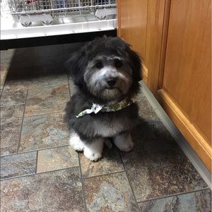 Meet your Posher, Libby