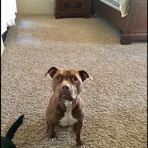 Meet your Posher, C m