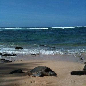 Meet your Posher, Elma