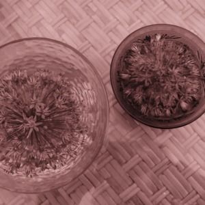 Meet your Posher, Carrie