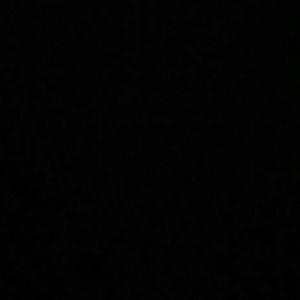 Meet your Posher, Zaria