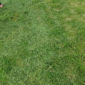 Meet your Posher, Janel