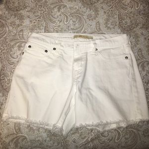Big Star White Denim Shorts- from Macy's