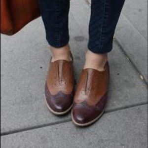Wild Imagination Oxfords in Whiskey/Oxblood