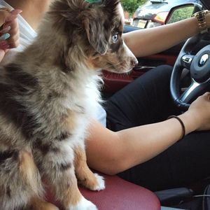 Meet your Posher, Jackson