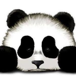 Meet your Posher, K nicole