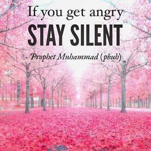 Meet your Posher, Anees