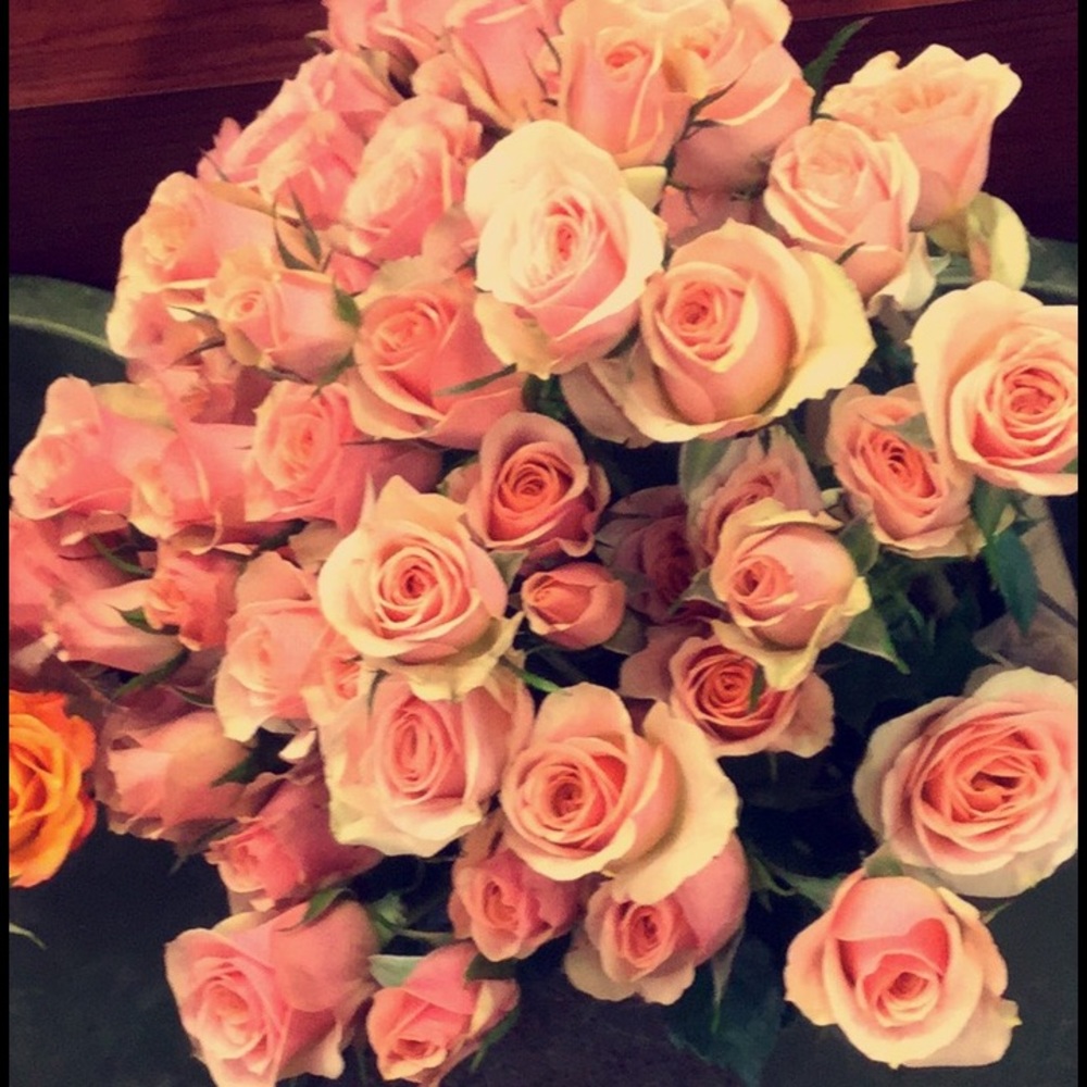 Meet your Posher, Cora