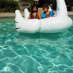 Meet your Posher, Pamela