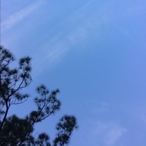 Meet your Posher, Evelyn