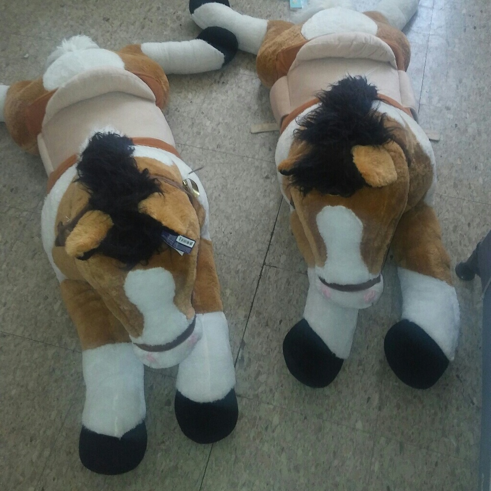 Two beautiful ponies